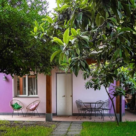 Giardino Carya - Giarre Centro Villa Екстериор снимка